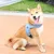 Zoomtopia Harnais de selle pour chien sans tension
