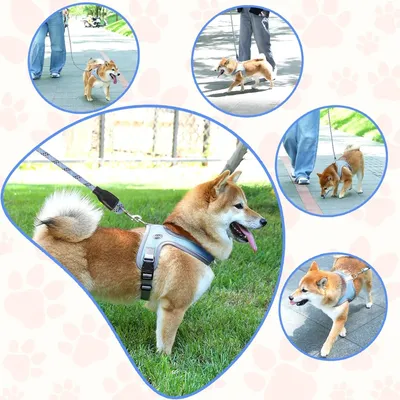 Zoomtopia Harnais de selle pour chien sans tension