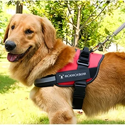 Zoomtopia Harnais antidéflagrante pour chien