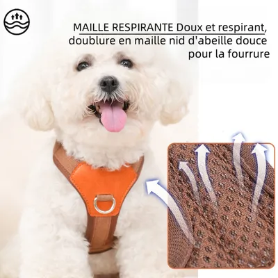 Zoomtopia Harnais marron pour petit chien