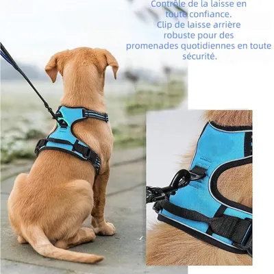 Zoomtopia Harnais Anti Traction pour pour Moyen Chien