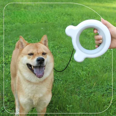 Zoomtopia Laisse Rétractable pour Chien et Chat - Anneau Gris