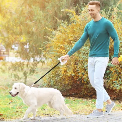 Zoomtopia Laisse Rétractable pour Chien et Chat - Anneau Rose