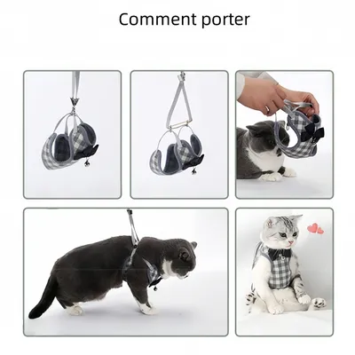 Zoomtopia Ensemble de laisse pour chat