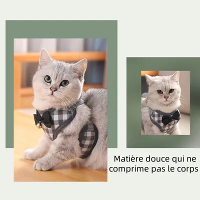 Zoomtopia Ensemble de laisse pour chat