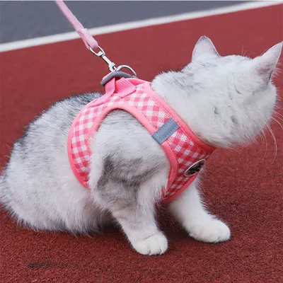 Zoomtopia Ensemble harnais et laisse pour chat rose