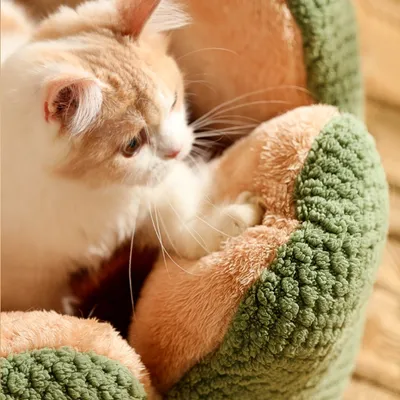 Zoomtopia Cama para gatos con forma de pétalo