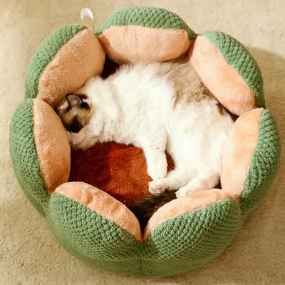 Zoomtopia Lit pour chat en forme de pétale