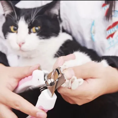 Zoomtopia - Coupe-Ongles avec Lime pour Chien et Chat