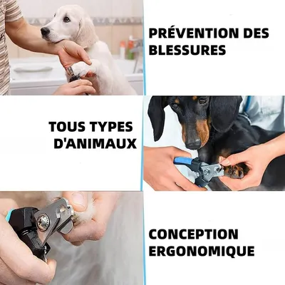Zoomtopia - Coupe-Ongles avec Lime pour Chien et Chat