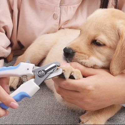 Zoomtopia - Coupe-Ongles avec Lime pour Chien et Chat