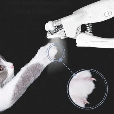 Zoomtopia Coupe  griffes avec lampe LED pour animaux