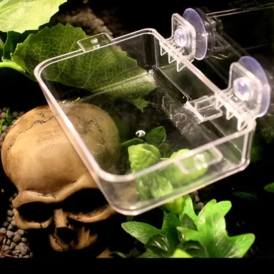 Zoomtopia Plat pour reptiles