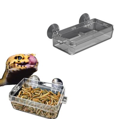 Zoomtopia Plat pour reptiles