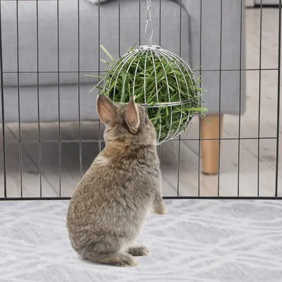 Zoomtopia Mangeoires pour petits animaux