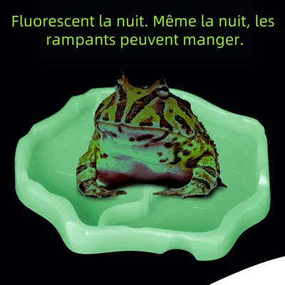 Zoomtopia Gamelle d'eau pour reptiles