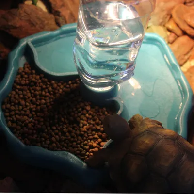 Zoomtopia Gamelle d'eau pour reptiles