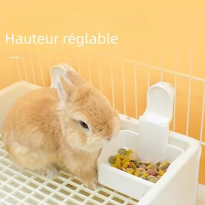 Zoomtopia Bol de nourriture pour petits animaux