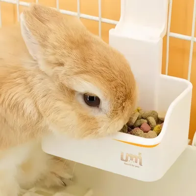 Zoomtopia Bol de nourriture pour petits animaux