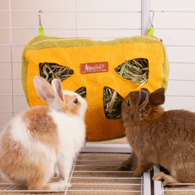 Zoomtopia Sac à foin pour petits animaux