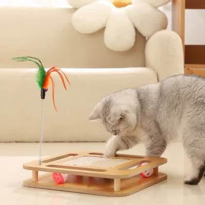 Zoomtopia Jouet interactif pour chat avec griffoir