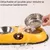 Zoomtopia Gamelle pour chien en acier inoxydable Yellow Bear