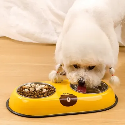 Zoomtopia Gamelle pour chien en acier inoxydable Yellow Bear
