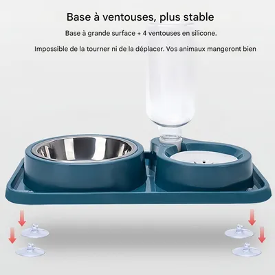 Zoomtopia Ensemble de gamelles doubles pour chat, avec bouteille d'eau