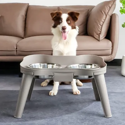 Zoomtopia Bol en acier inoxydable pour chat et chien