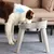 Zoomtopia Bol en acier inoxydable pour chat et chien