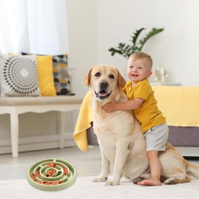Zoomtopia Mangeoire anti glouton pour chien et chat
