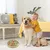 Zoomtopia Mangeoire anti glouton pour chien et chat