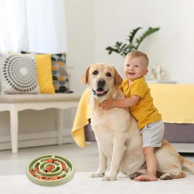 Zoomtopia Mangeoire anti glouton pour chien et chat