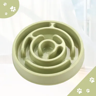 Zoomtopia Mangeoire anti glouton pour chien et chat