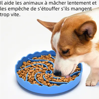 Zoomtopia Gamelle anti  glouton pour chien et chat