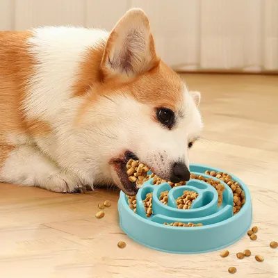 Zoomtopia Mangeoire anti glouton pour chien et chat
