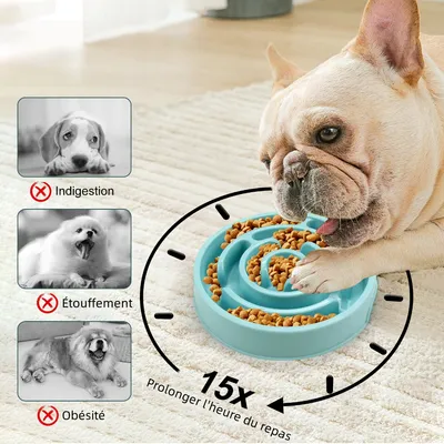 Zoomtopia Mangeoire anti glouton pour chien et chat