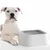 Zoomtopia Gamelle d'eau anti-déversement pour chien