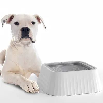 Zoomtopia Gamelle d'eau anti-déversement pour chien