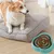 Zoomtopia Bol d'alimentation lent pour chien