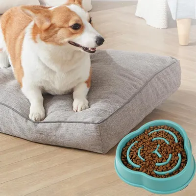 Zoomtopia Bol d'alimentation lent pour chien