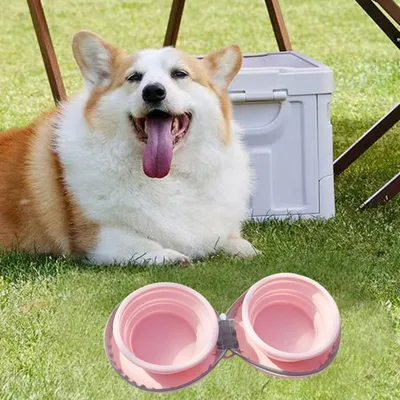 Zoomtopia Double gamelle pliable pour chien et chat