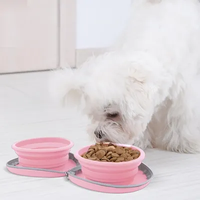 Zoomtopia Double gamelle pliable pour chien et chat