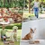 Zoomtopia Gamelle pliable 2 en 1 pour chien