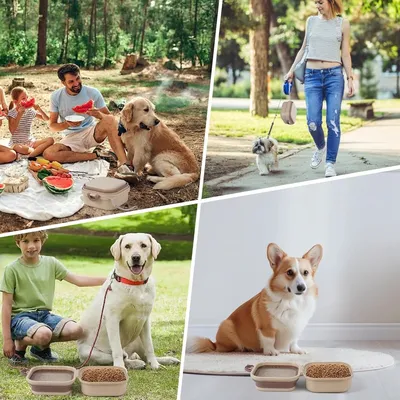 Zoomtopia Gamelle pliable 2 en 1 pour chien