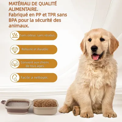 Zoomtopia Gamelle pliable 2 en 1 pour chien