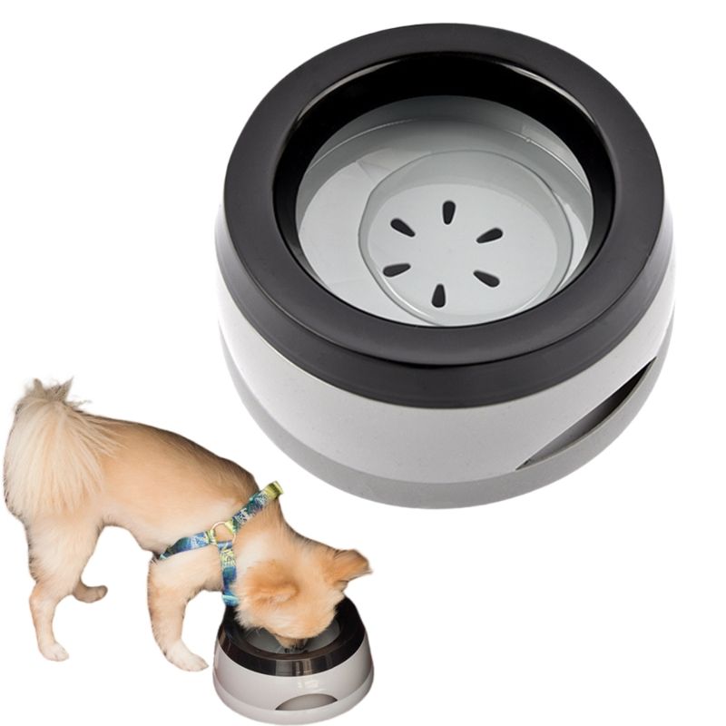 Zoomtopia Bols d'eau potable pour chats et chiens