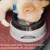 Zoomtopia Bols d'eau potable pour chats et chiens
