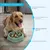 Zoomtopia Gamelle à alimentation lente pour chien 19×20.5CM