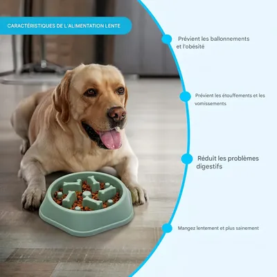 Zoomtopia Gamelle à alimentation lente pour chien 19×20.5CM
